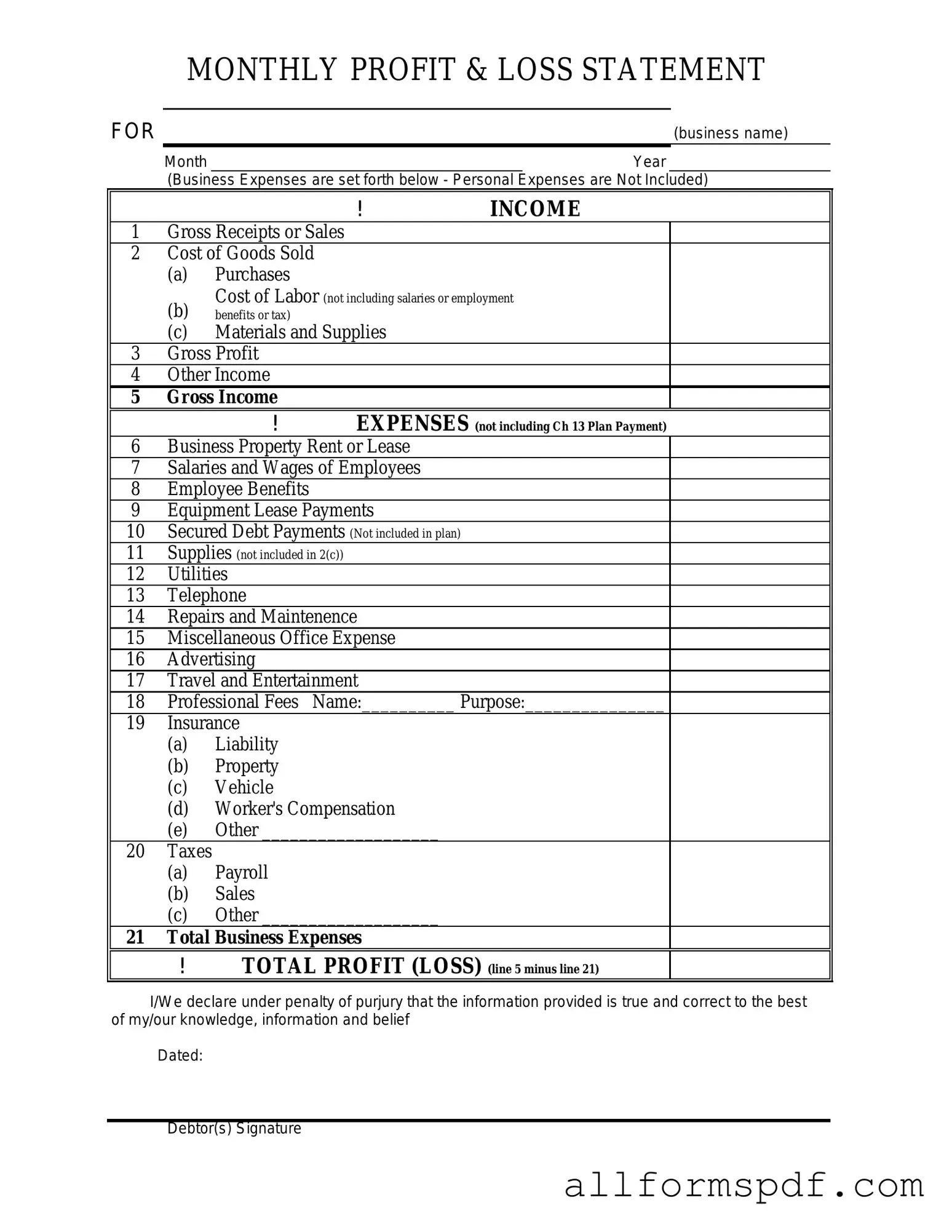 Fill Out Your Profit And Loss Form