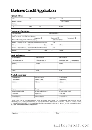 Fill Out Your Business Credit Application Form