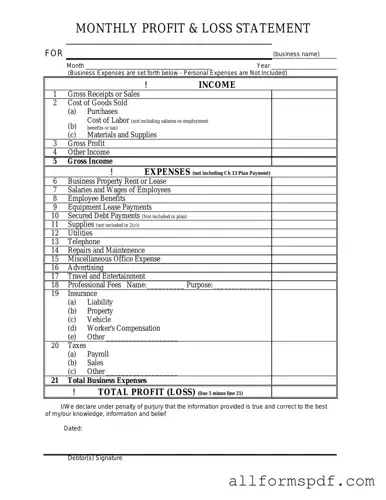Fill Out Your Profit And Loss Form