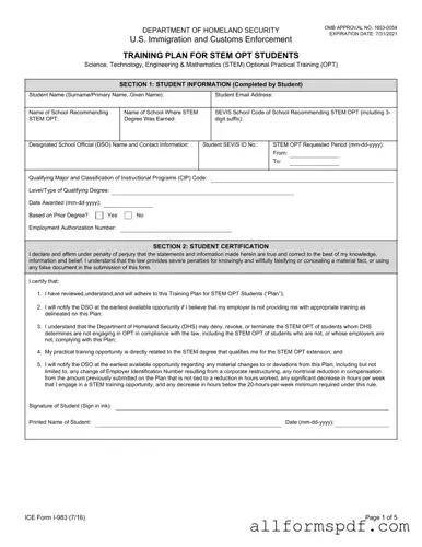 Fill Out Your ICE I-983 Form
